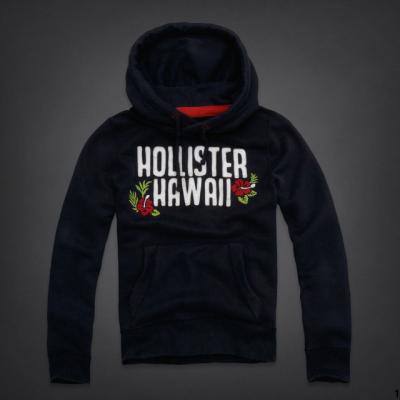 Hollister Men Hoodies-32